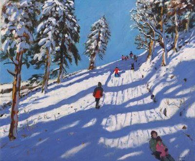 Luge, Hillside, Glossop, 2015 - Andrew Macara